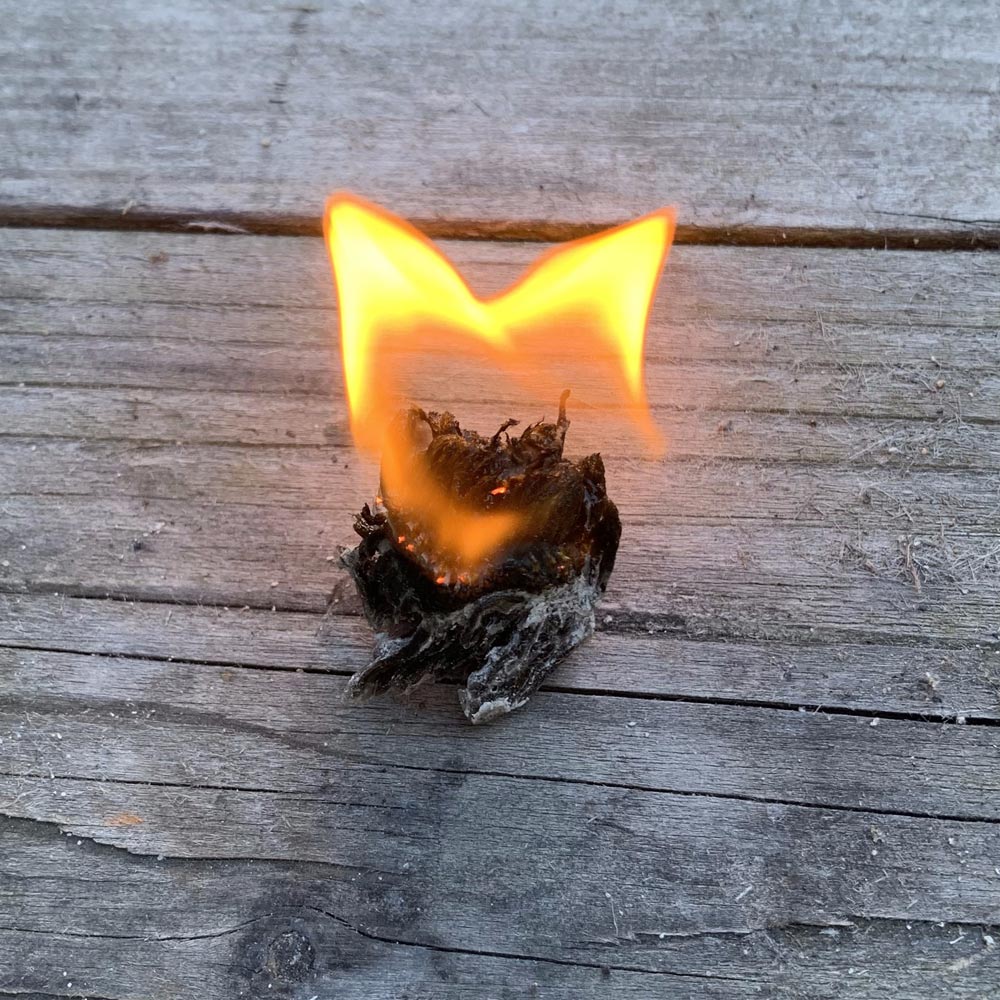 jubo fire tape 07