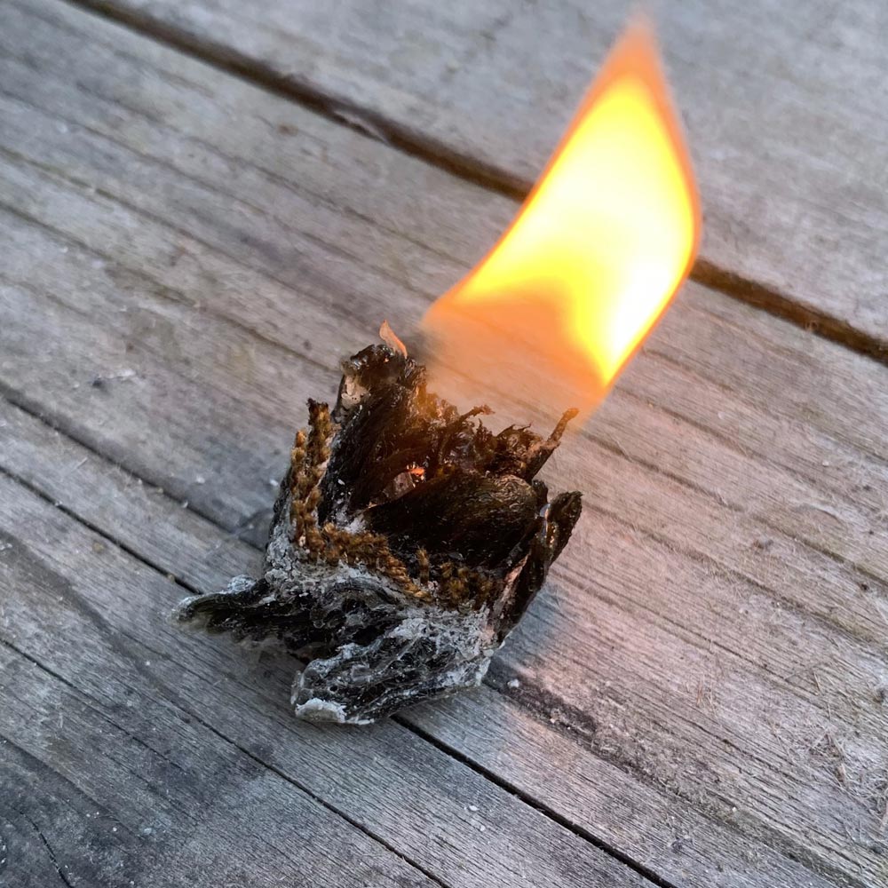 jubo fire tape 00